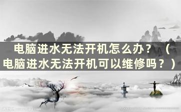 电脑进水无法开机怎么办？ （电脑进水无法开机可以维修吗？）